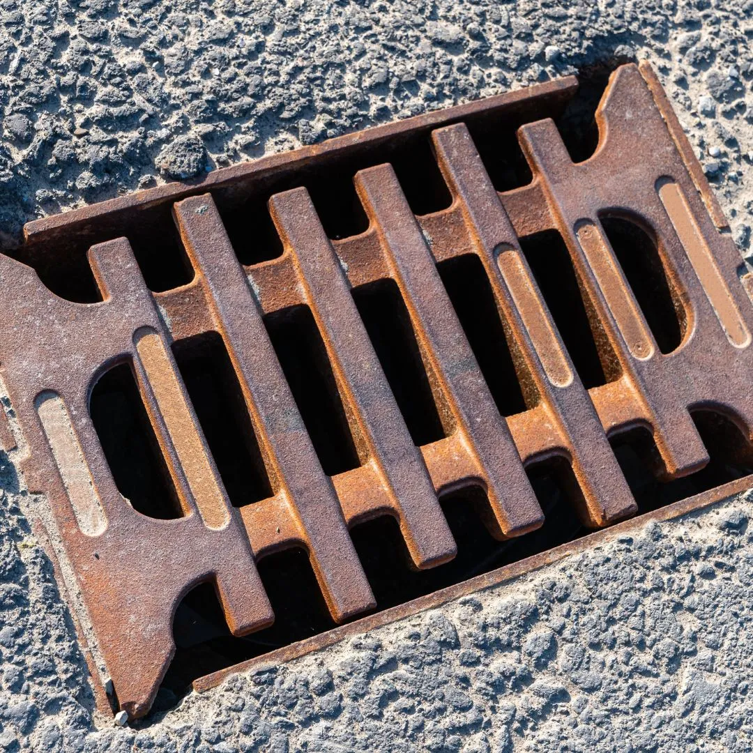 Area drain cleaning