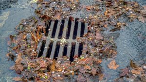 Storm drain on a wet pavement clogged with fallen leaves and debris, partially submerged in rainwater.